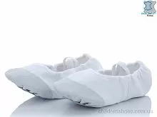 Чешки