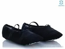 Чешки