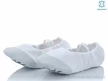 Чешки