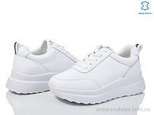 Кроссовки ITTS MT55-2 Кроссовки MT55-2 ITTS / p. 36-41 / 6пар