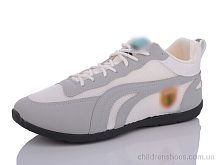 Кроссовки P.ma SD8 Кроссовки SD8 Lion / p. 41-46 / 8пар