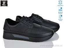 Туфли 5301 Steel Land / p. 36-41 / 8пар