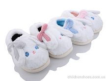 Тапки XRY-54 mix Lion / p. 36-41 / 24пар