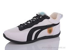 Кроссовки P.ma SD4 Кроссовки SD4 Lion / p. 41-46 / 8пар