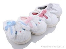 Тапки XRY-53 mix Lion / p. 36-41 / 24пар