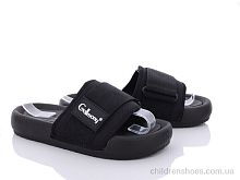 Шлепки 9031-1 Захар-Gold / p. 36-41 / 8пар