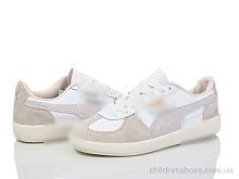 Кроссовки P.ma HD49-1102 grey Кроссовки HD49-1102 grey Violeta / p. 36-41 / 8пар