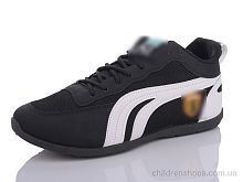 Кроссовки P.ma SD6 Кроссовки SD6 Lion / p. 41-46 / 8пар