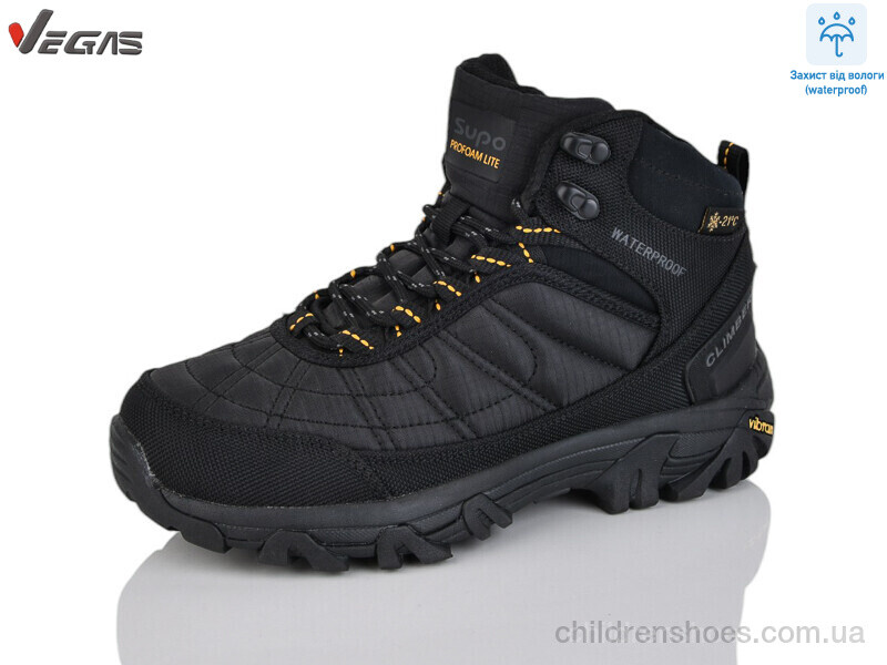 Кроссовки Vegas B2656-5