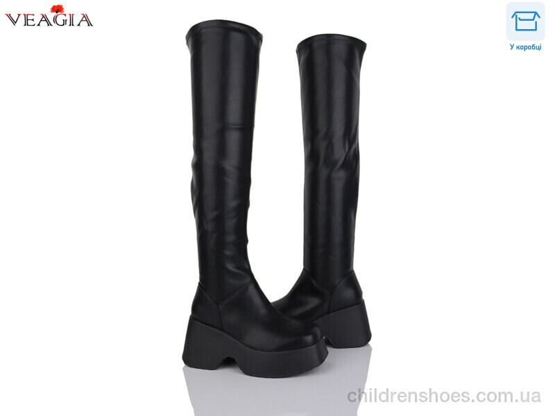 Ботфорты Veagia T02-1