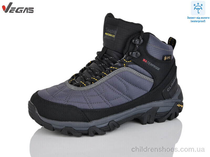 Кроссовки Vegas B2656-2