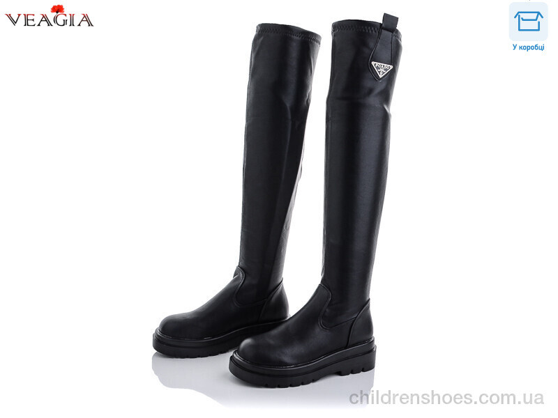 Ботфорты Veagia YG50-1