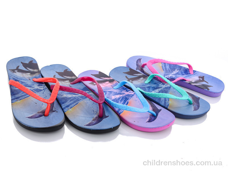 Шлепки женские Sydney 8026-5 mix