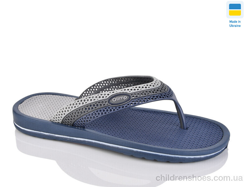 Вьетнамки 221-2 синій-сірий Lot Shoes / p. 41-46 / 8пар