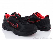 Кроссовки Nike 5308-1