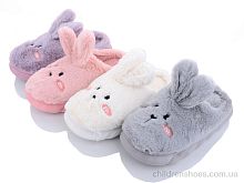 Тапки TK2023-3 mix Lion / p. 36-41 / 24пар