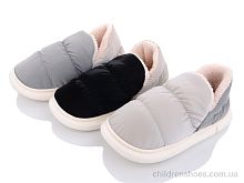 Тапки TK2023-9 mix Lion / p. 40-45 / 24пар