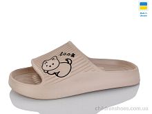 Шлепки B104 капучіно M&L  Alex13 / p. 36-41 / 8пар