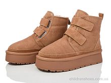 Угги 6521-1 Захар-Gold / p. 36-41 / 8пар