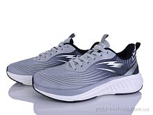 Кроссовки A0073-3 Lion-Lu / p. 41-45 / 8пар