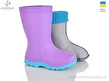 Резиновая обувь Асоль фіолет Acorus / p. 24-35 / 6пар