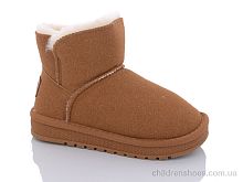 Угги A313 camel ASHIGULI / p. 32-37 / 6пар