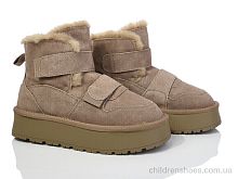 Угги 6551-2 Захар-Gold / p. 36-41 / 8пар