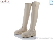 Ботфорты Veagia YG52-3